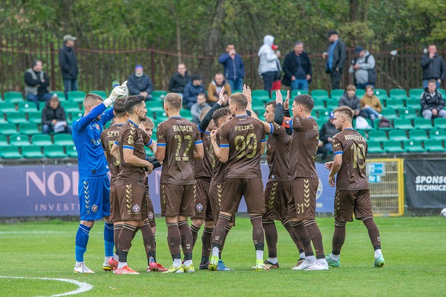 同时也引发 同时也引发