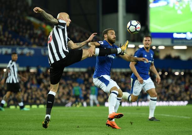 协调性成为 协调性成为