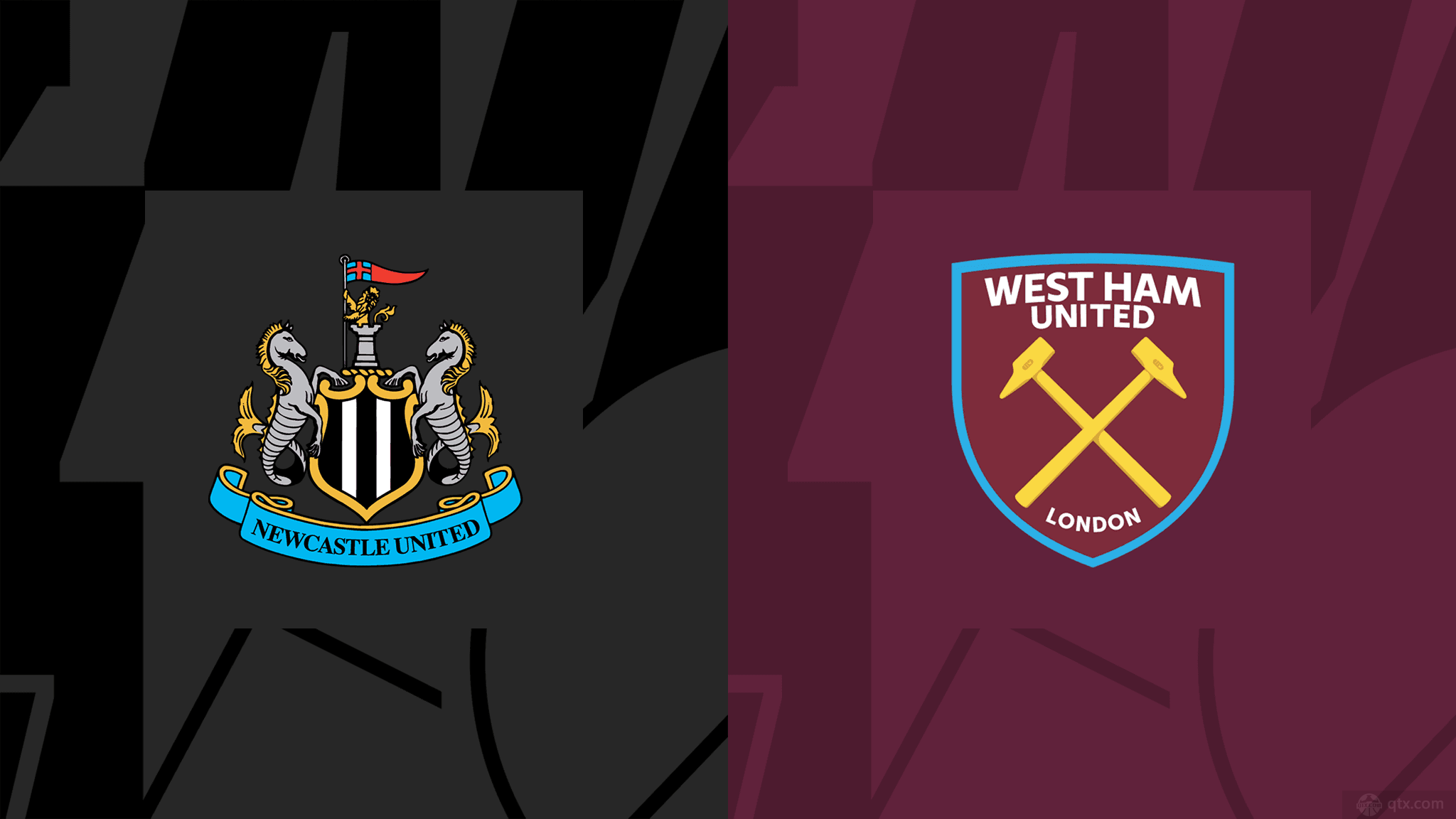 她们都代表 她们都代表